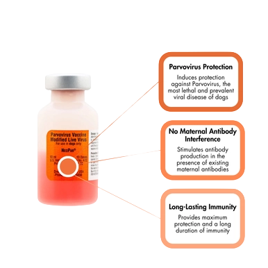 "NeoPar® Parvo Vaccine for Dogs, 10 dose vial","Vaccine vial with orange label and three callout boxes"