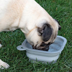 Replacement Collapsible Dog Bowls,"Gray collapsible dog bowl filled with water"