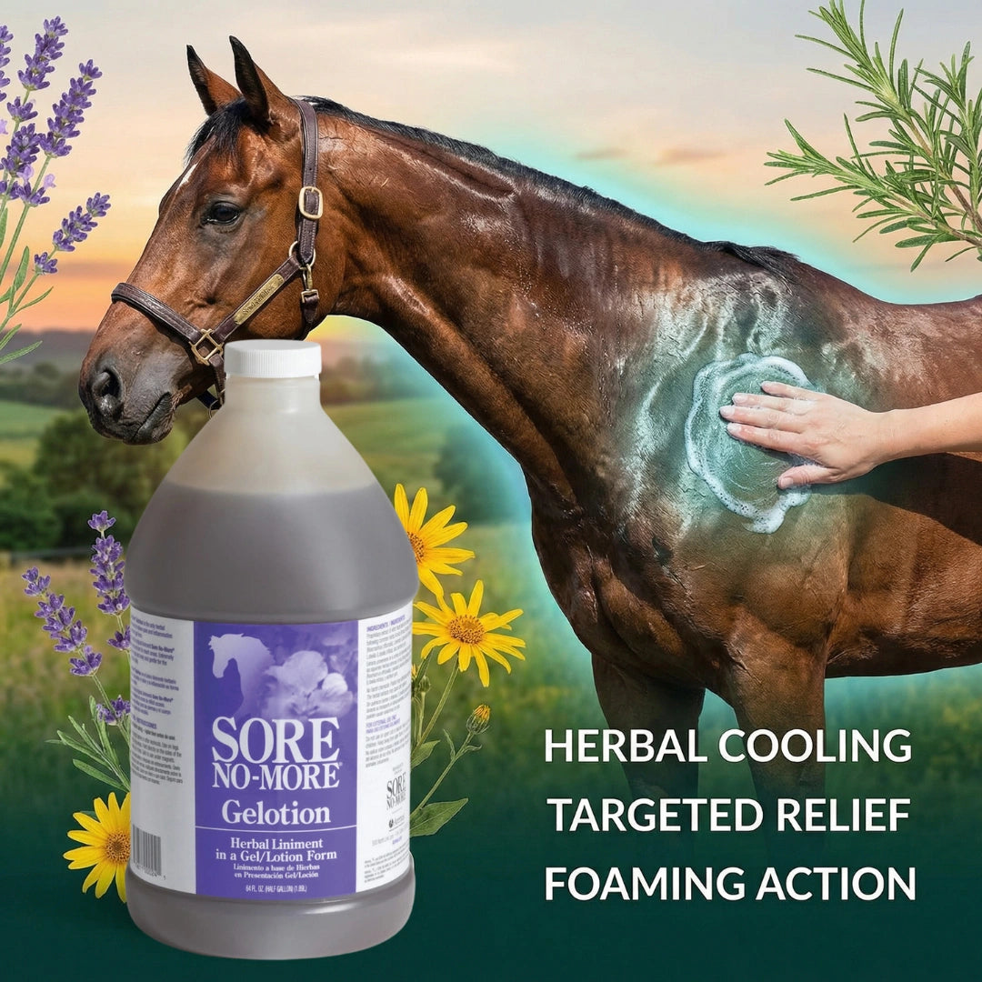 Sore No-More® Classic Gelotion,"Large bottle beside horse with gel applied to shoulder"