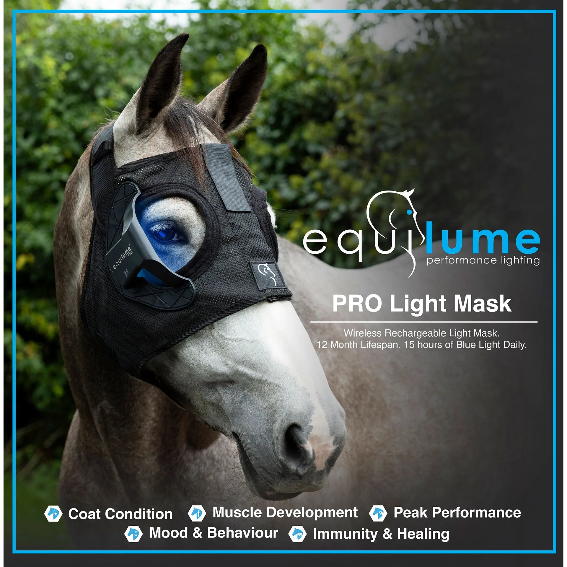 Equilume Pro Light Mask,"Horse wearing black mesh light mask with blue eye-mounted unit"
