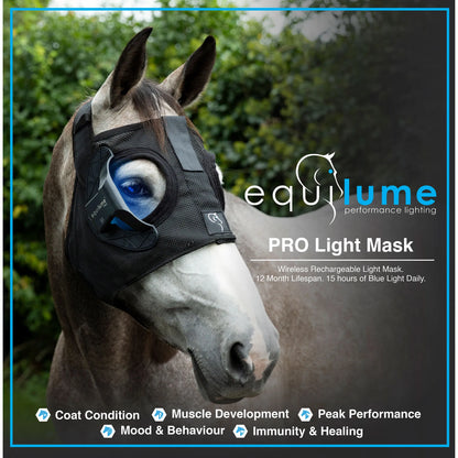 Equilume Pro Light Mask,"Horse wearing black mesh light mask with blue eye-mounted unit"