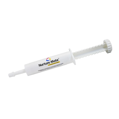 Nurture Them for Puppies and Kittens Bundle,"White oral dosing syringe with plunger"