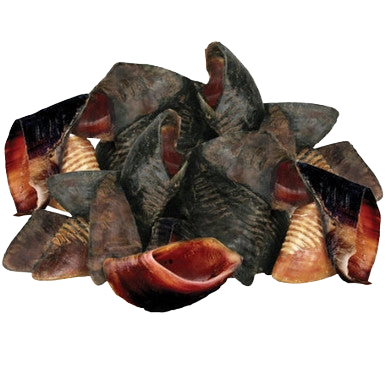 Hooves,"Pile of cut animal hooves"