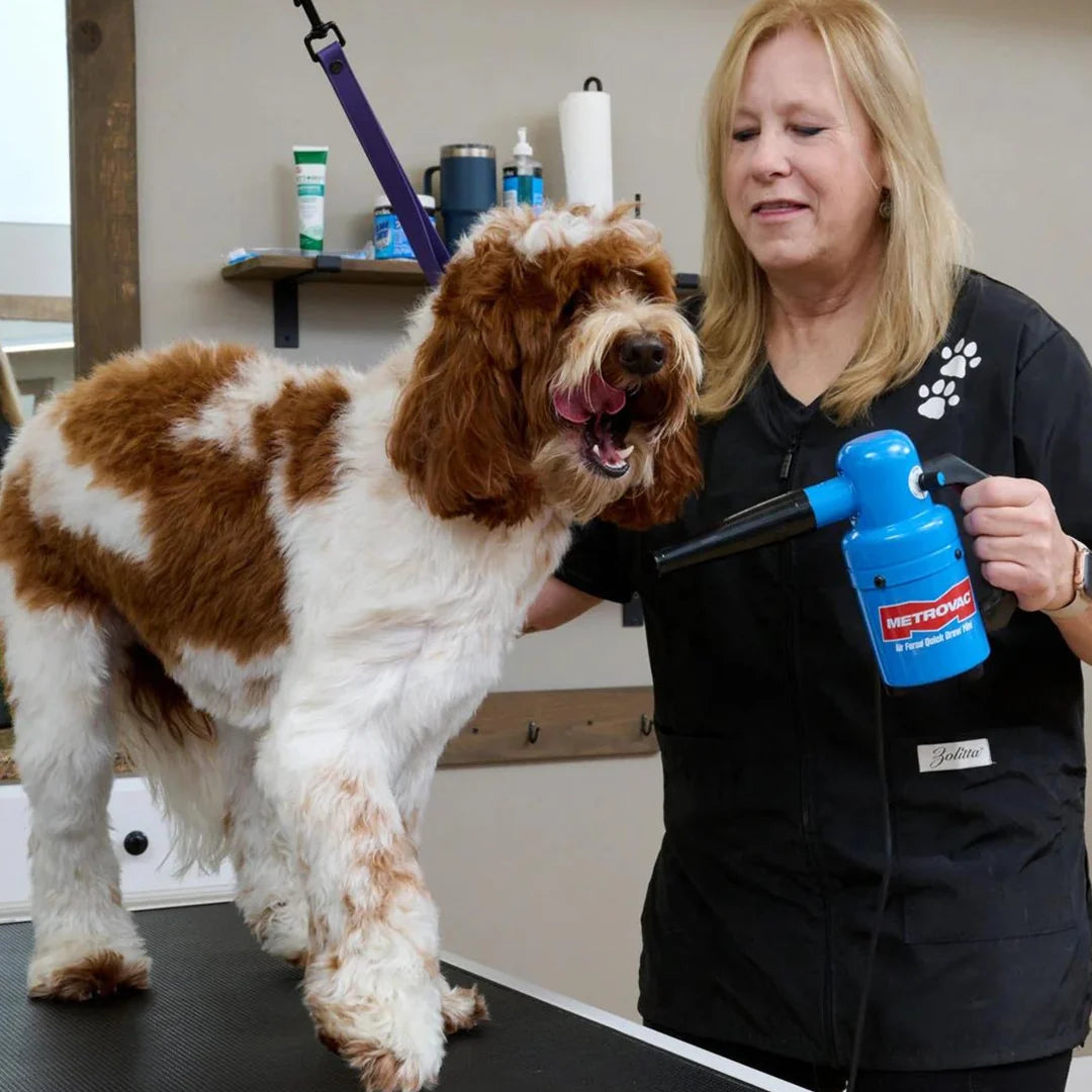 Quick Draw Compact Dog Dryer Mini Variable Speed,"Blue handheld pet dryer being used on a dog"