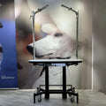 Premium Electric Table by TZGroom