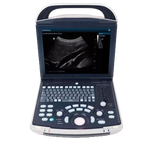 Equisound DP30 Portable Equine Ultrasound,"Portable ultrasound unit with keyboard and display screen"