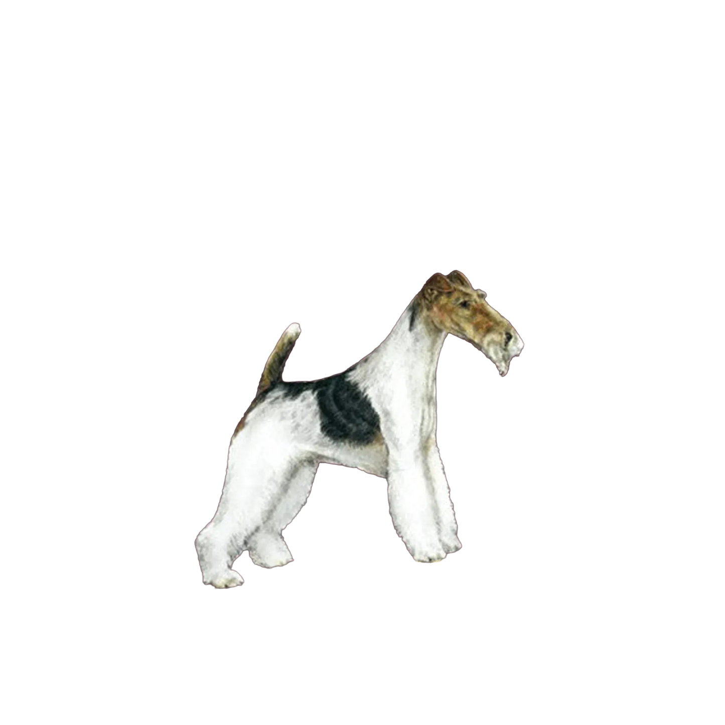 The Terrier Grooming Chart Book by Sam Kohl