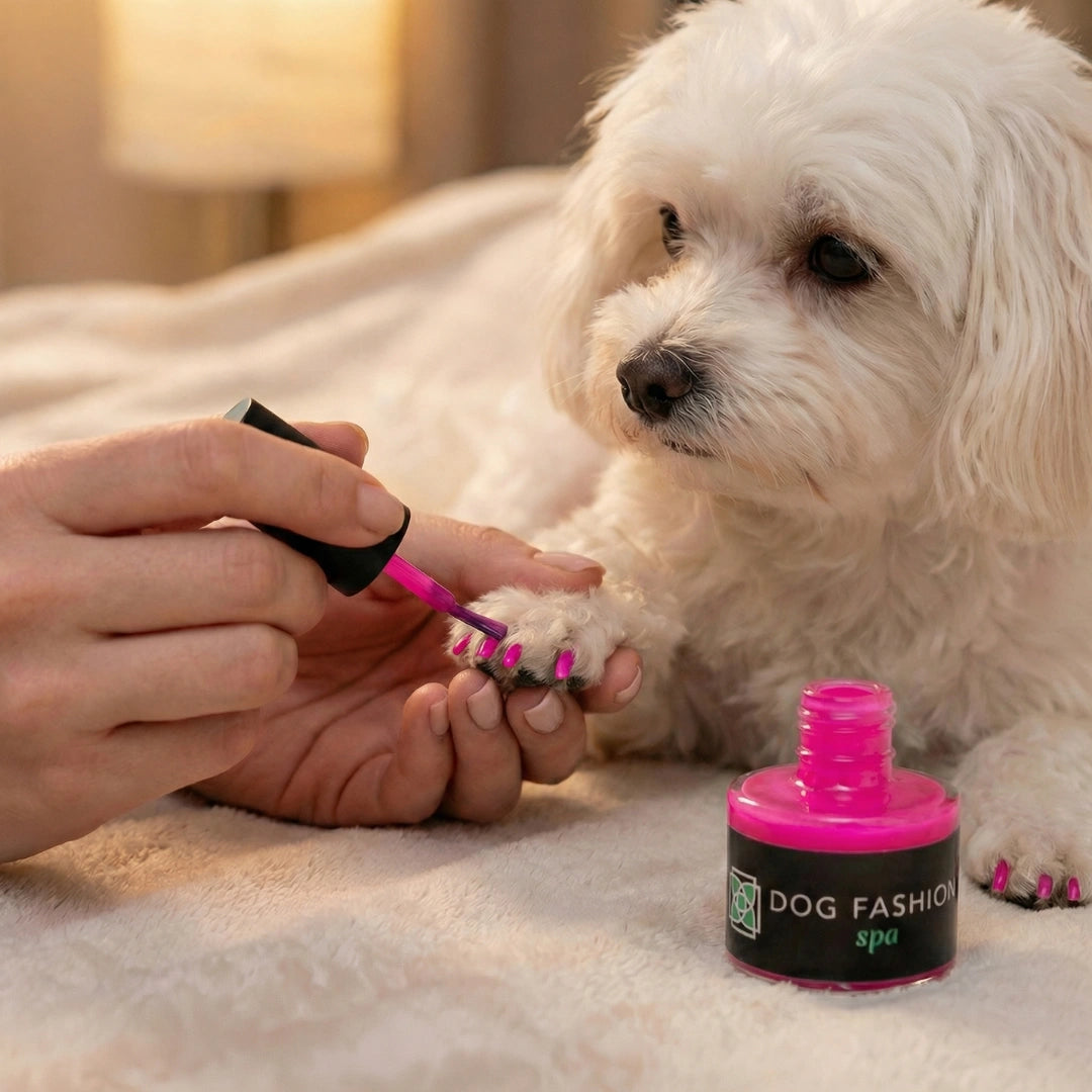 Non-toxic Nail Polish,"Small dog with paws painted bright pink nail polish"