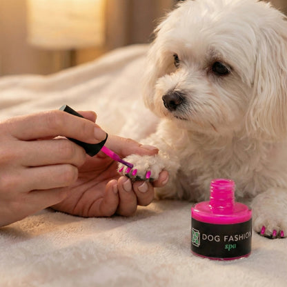 Non-toxic Nail Polish,"Small dog with paws painted bright pink nail polish"
