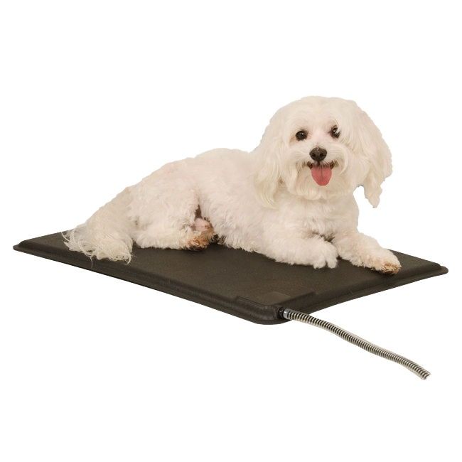 Lectro-Kennel® Heated Pad & Cover,"White dog lying on black heated pad with cord"