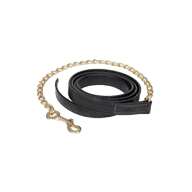 Leather Lead Shank,"Coiled black leather strap with gold chain and clasp"