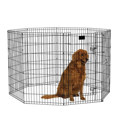 Midwest® Exercise Pen with Walk-Thru Door,"Black wire exercise pen with walk-thru door and dog inside"