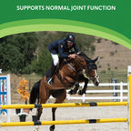 Comfort Quik™,"Horse and rider jumping over yellow rails"