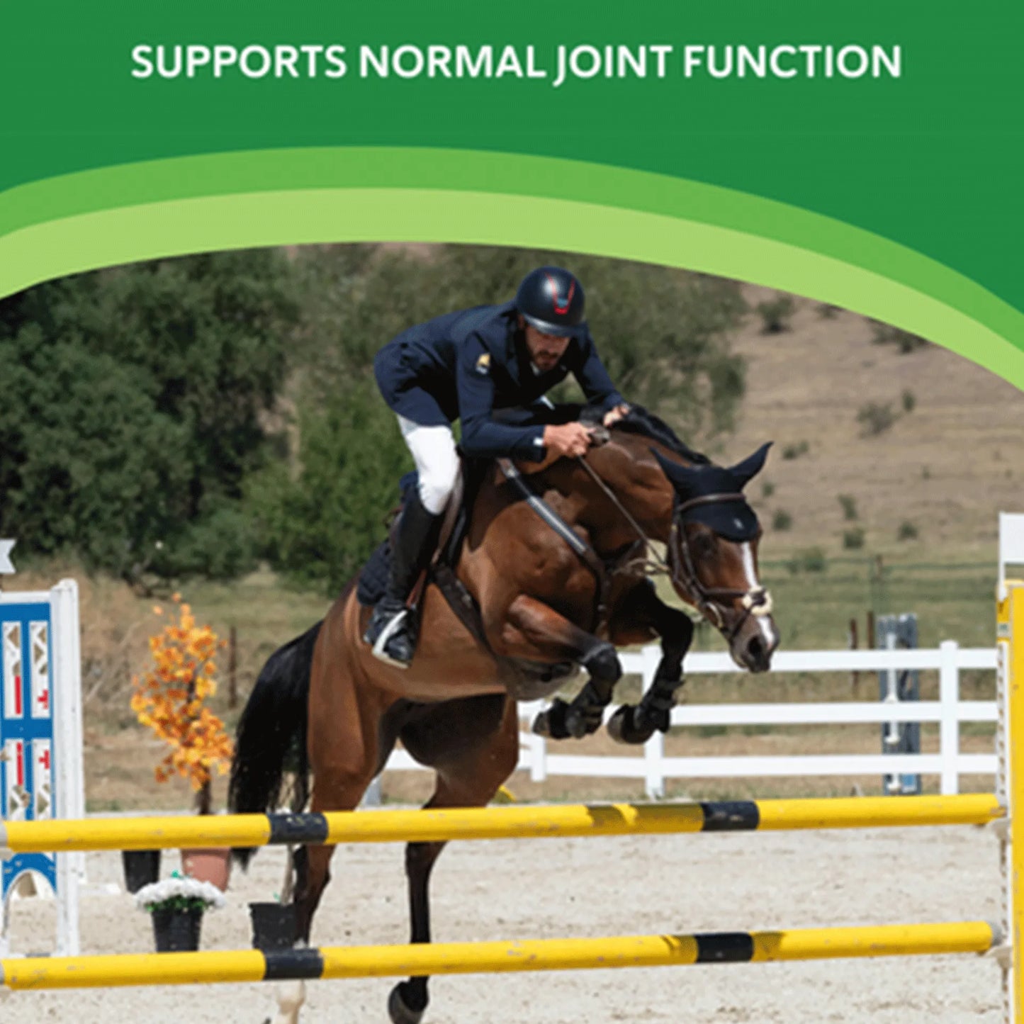 Comfort Quik™,"Horse and rider jumping over yellow rails"