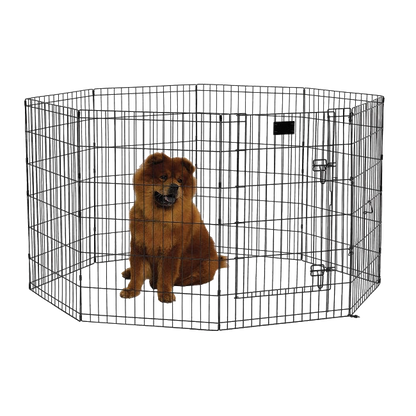 Midwest® Exercise Pen with Walk-Thru Door,"Metal wire exercise pen with dog inside"