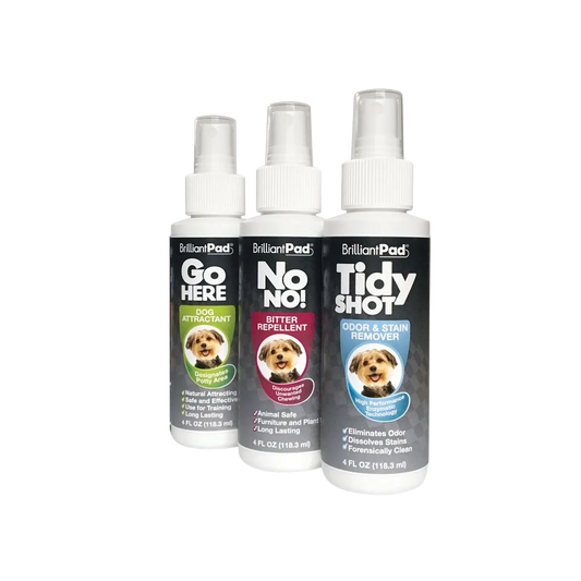3-Spray Training and Cleaning Kit,"Three spray bottles with clear caps"