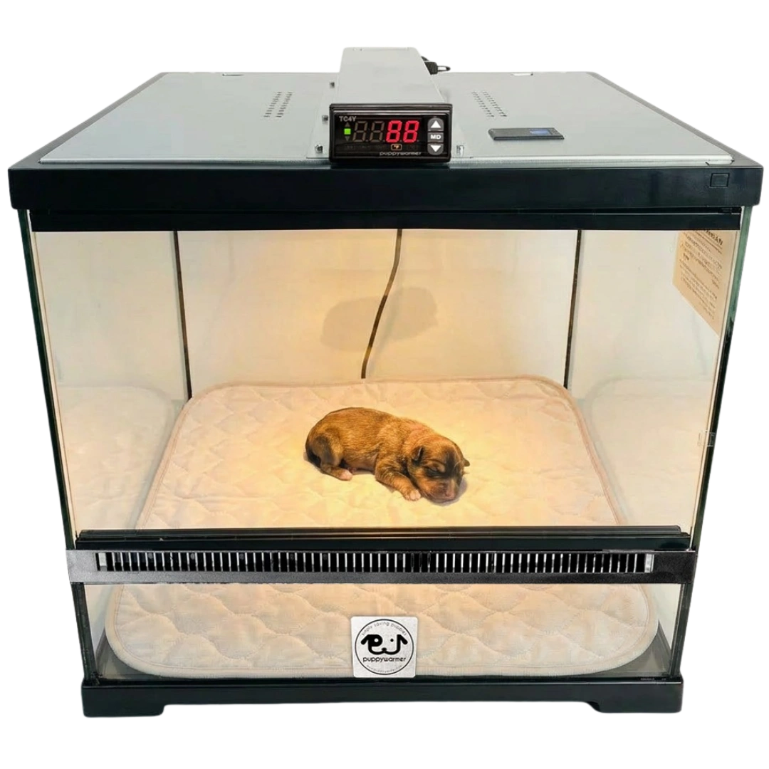 Puppywarmer Incubator Pee Pad,"Quilted pee pad inside clear glass puppy incubator"