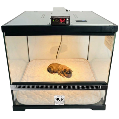Puppywarmer Incubator Pee Pad,"Quilted pee pad inside clear glass puppy incubator"