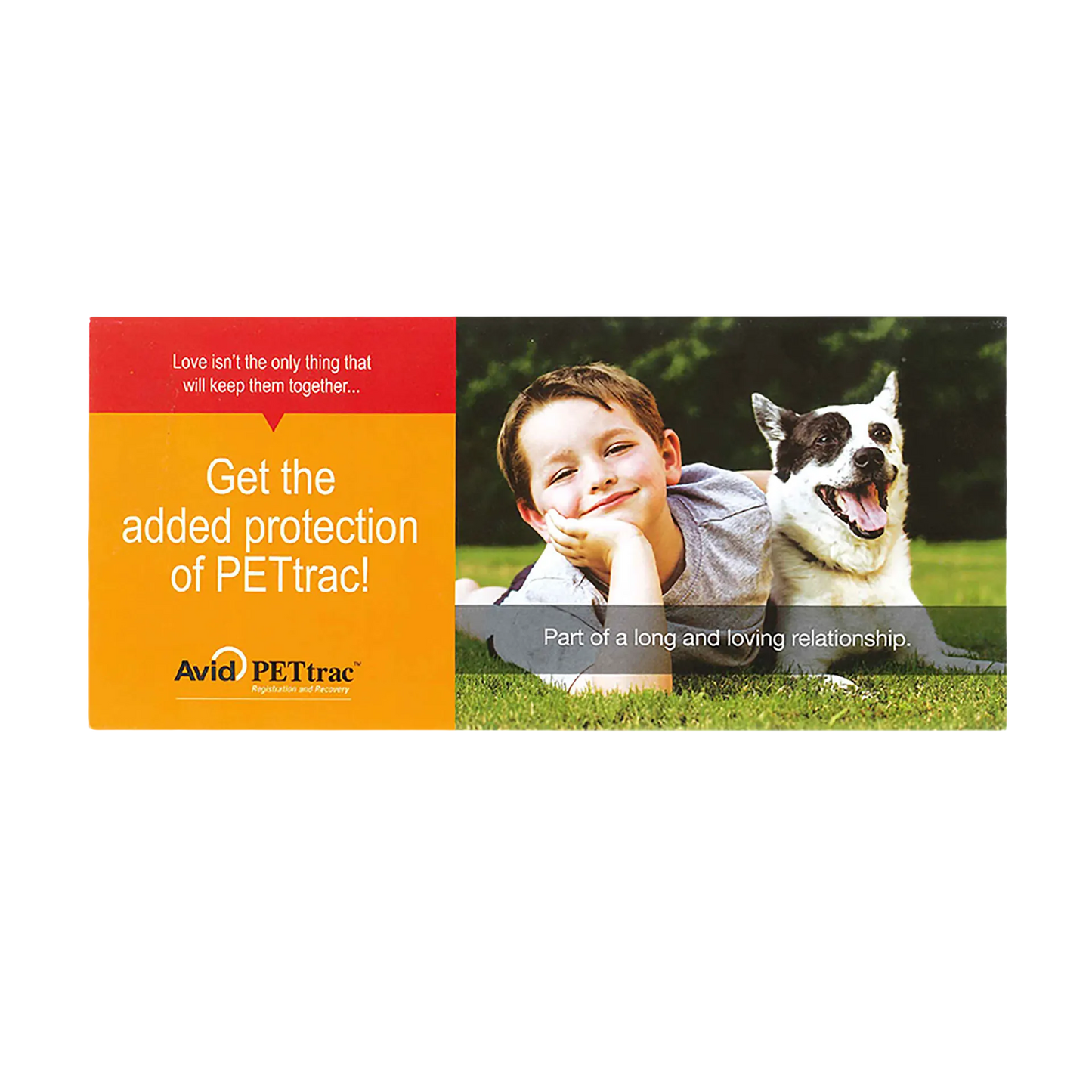 Avid Microchip Registration Forms,"Child with black-and-white dog lying on grass"