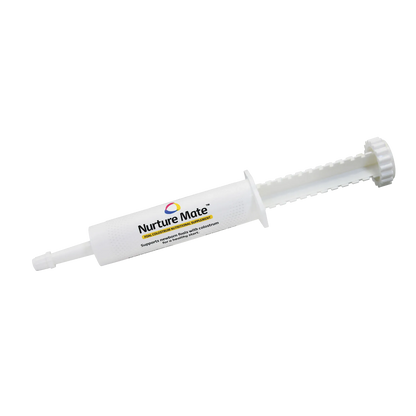 Breeder's Edge® Nurture Mate™ for Foals,"White oral dosing syringe with plunger"