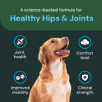 Veterinary Strength Healthy Hip & Joint for Dogs by VetriScience