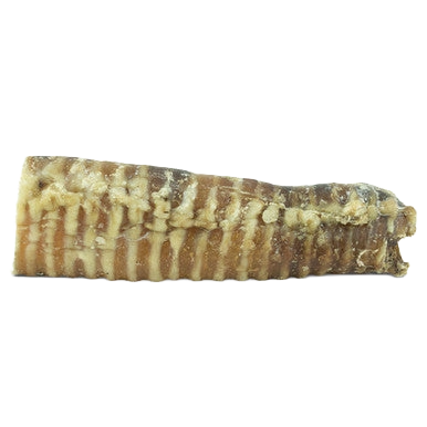 Windees Beef Trachea,"Single beef trachea chew piece"