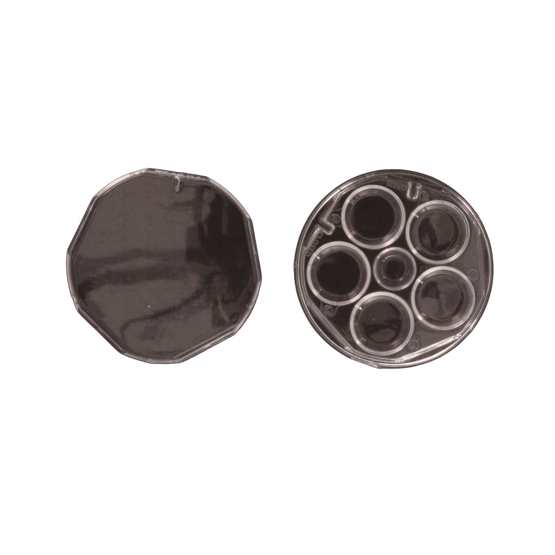 WTA 5 WELL DISHES,"Open clear five-well dish with separate lid"