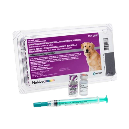 Nobivac® Intra-Trac® Oral BbPi,"Blister pack with two vials and oral syringe"
