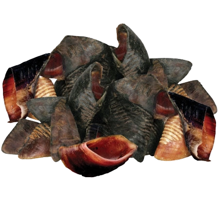 Hooves,"Pile of trimmed animal hooves"