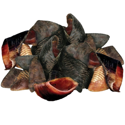 Hooves,"Pile of trimmed animal hooves"
