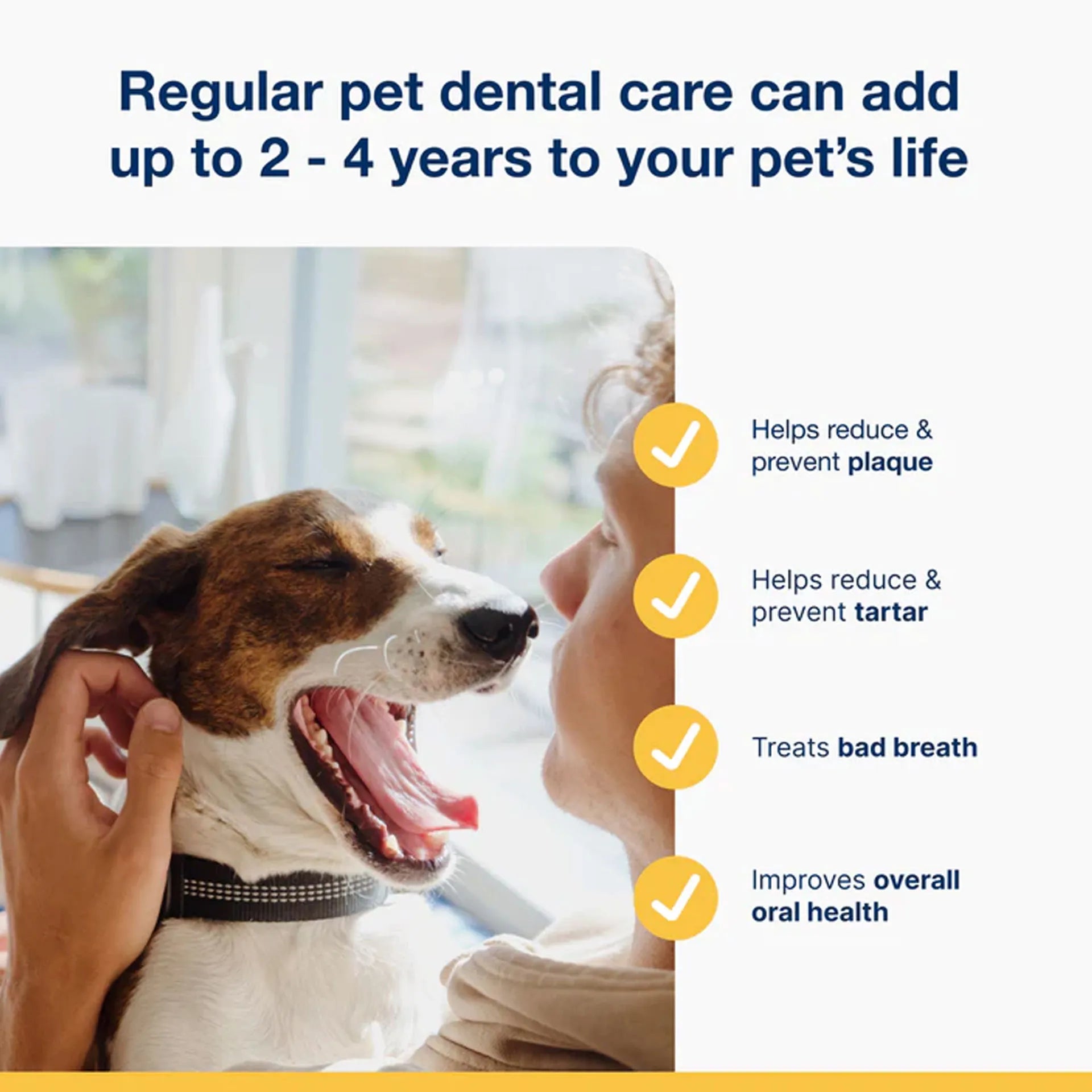 ProDen PlaqueOff® Powder,"Person petting smiling dog infographic"