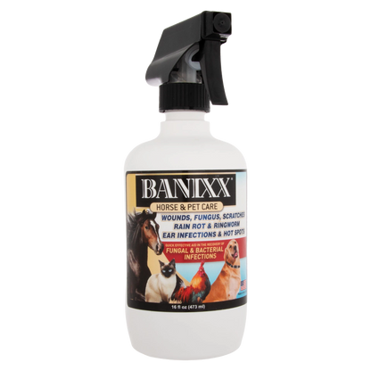 Banixx® Horse and Pet Care Spray,"White spray bottle with black trigger sprayer"