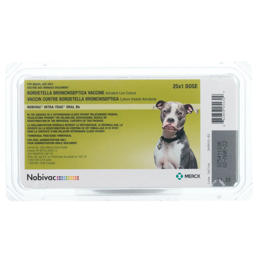 Nobivac® Canine Intra-Trac® Oral Bb,"Plastic blister pack with green label and dog image"