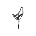 Foal Halter,"Black halter with lead strap"