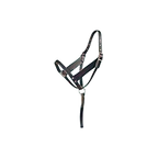 Foal Halter,"Black halter with lead strap"
