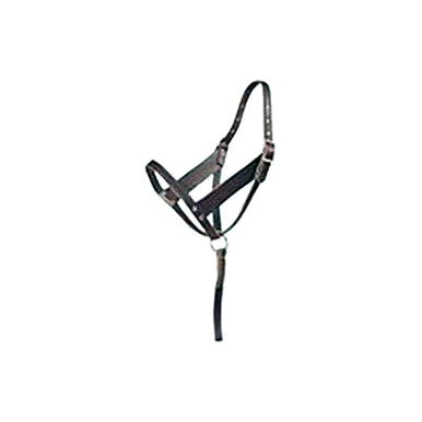 Foal Halter,"Black halter with lead strap"
