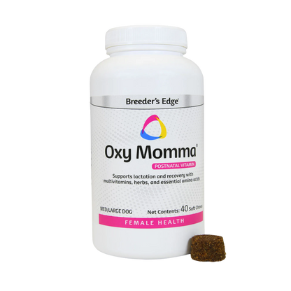 Postpartum Essentials,"White supplement bottle with single soft chew beside it"