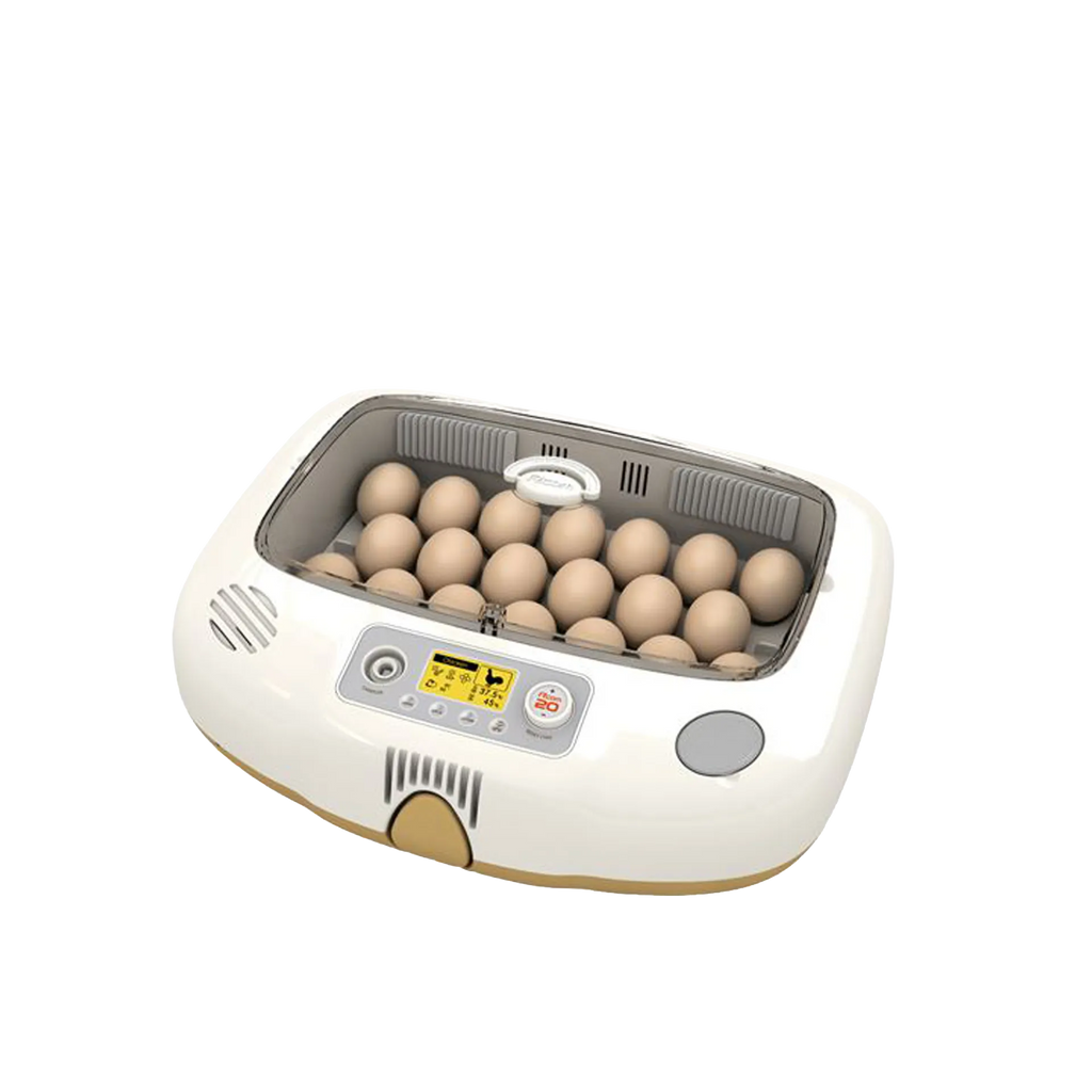 Pro-20 DO Incubator by Rcom USA
