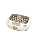 Pro-20 DO Incubator by Rcom USA