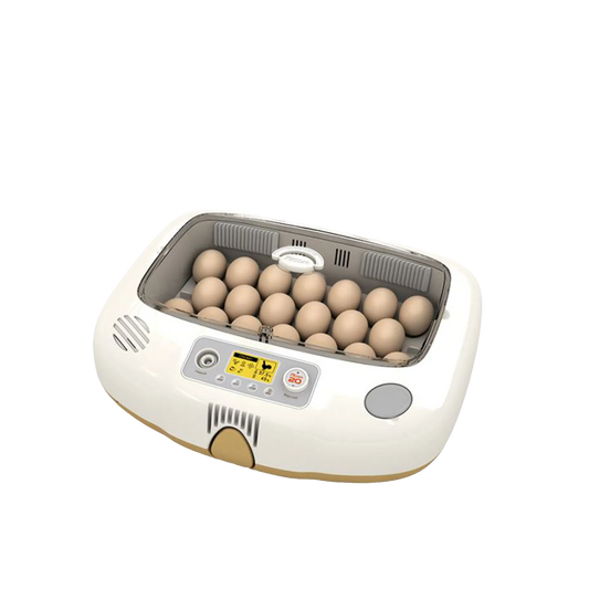 Pro-20 DO Incubator by Rcom USA