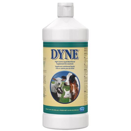 PetAg Dyne High Calorie Liquid Nutritional Supplement for Livestock,"White bottle with yellow label and livestock images"
