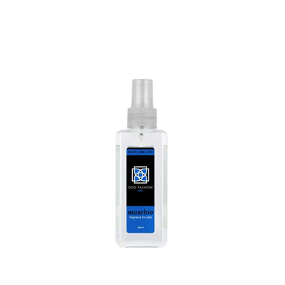 Maschio Fragrance