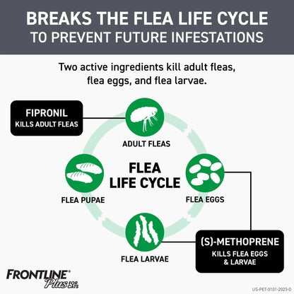 Frontline® Plus for Cats,"Flea life cycle infographic with flea, eggs, larvae, and pupae icons"
