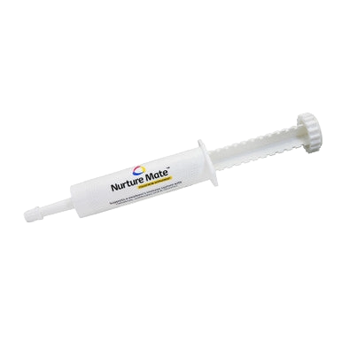 Nurture Them for Puppies and Kittens Bundle,"White oral syringe with plunger"
