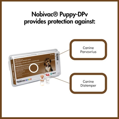 Nobivac® Puppy-DPv,"Product box with two small vaccine vials and callout labels"