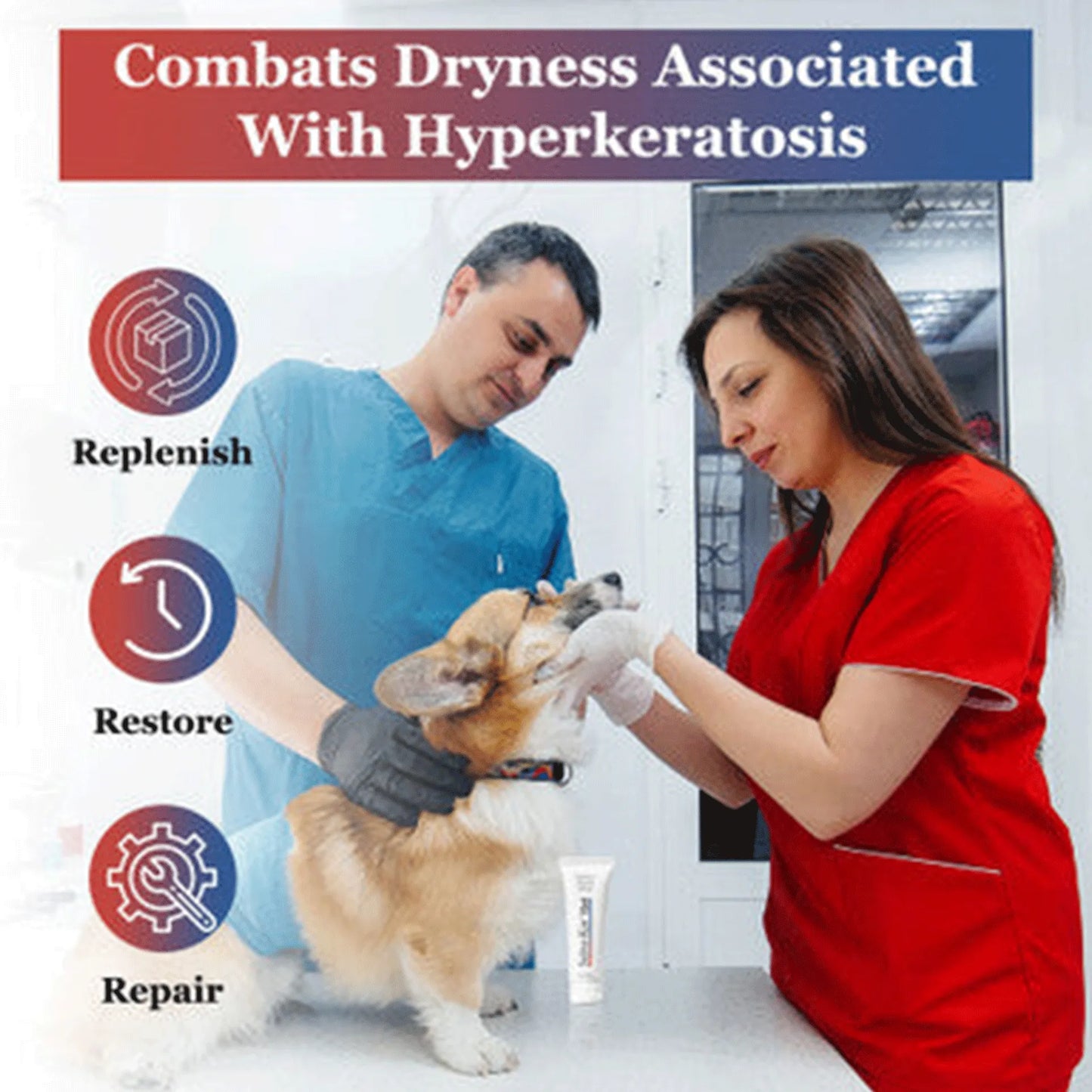 Solva-Ker™ Gel,"Tube of gel beside dog receiving paw treatment"